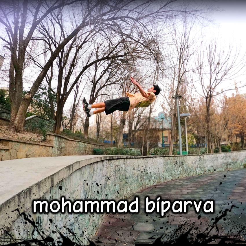 مربی پارکور - محمد بی پروا