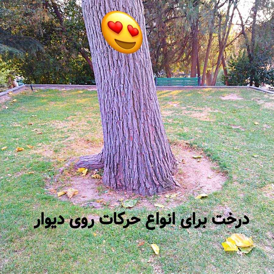 آموزش پارکور در تهران