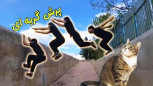 تمرینات پارکور از اعضای پارکورسیتی