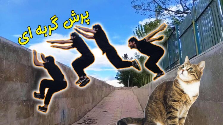 تمرینات پارکور از اعضای پارکورسیتی